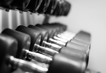 A row of dumbbells are lined up on a rack.